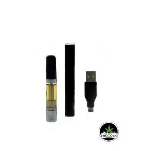 CBD 040 Vape Starter Set