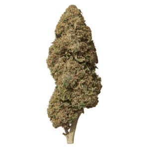 Saure Erdbeer-CBD-Blüte