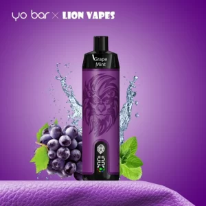 Yo Bar x Lion Bigpuff 10